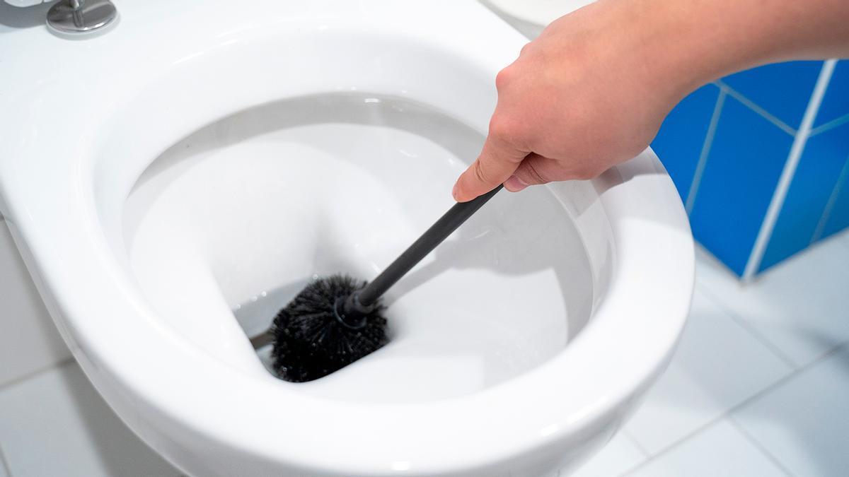 Este es el truco definitivo para limpiar la escobilla del váter y que quede como nueva.