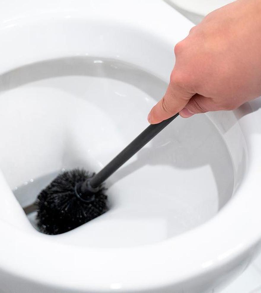 Este es el truco definitivo para limpiar la escobilla del váter y que quede como nueva