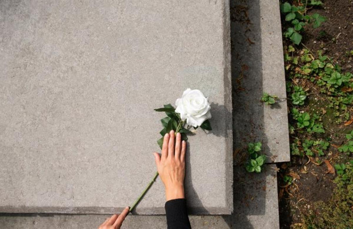 Quanta gent acaba morint per culpa daquest animal?