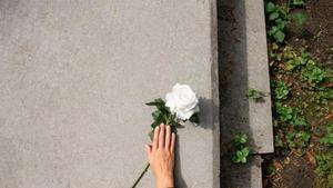 Quanta gent acaba morint per culpa daquest animal?