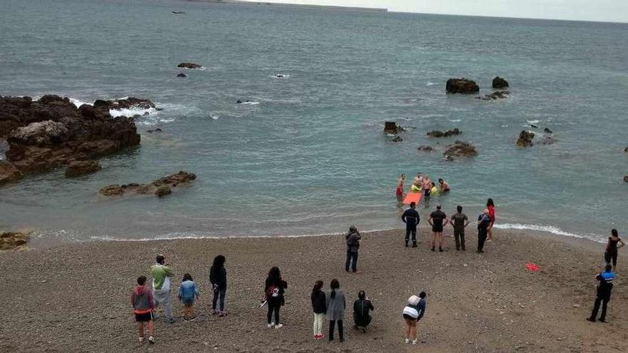 Personal de Salvamento Marítimo, Bomberos y Cruz Roja intenta devolver al delfín al mar ante la mirada de curiosos.