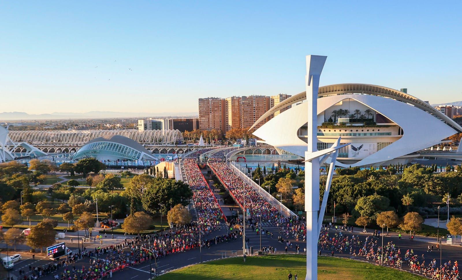 Búscate en el Maratón Valencia Trinidad Alfonso