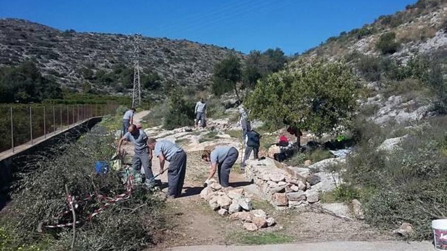 Trabajadores de un taller de empleo de Gandia.