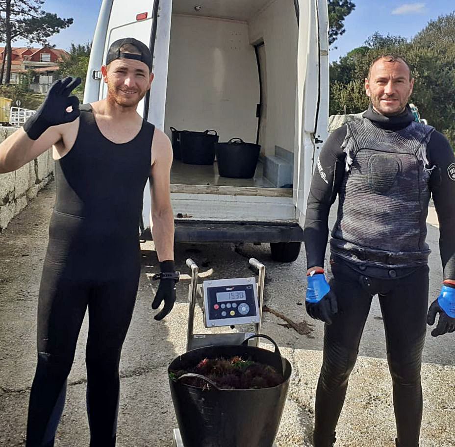 Las descargas de erizo de mar en el puerto de Pedras Negras (San Vicente de O Grove). 