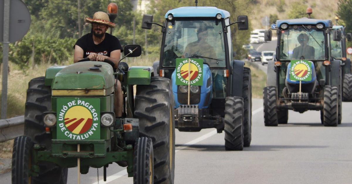 Tractorada al Penedès en protesta per la caiguda dels preus del raïm