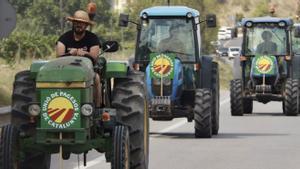 Tractorada al Penedès en protesta per la caiguda dels preus del raïm
