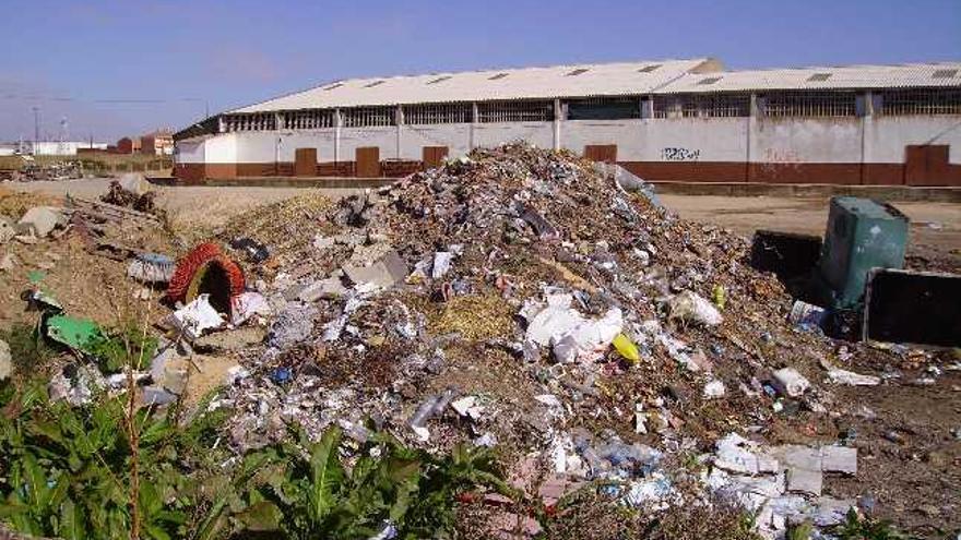 Restos de basura orgánica e inorgánica amontados en el interior del recinto del Mercado Regional de Ganados, en una imagen tomada ayer