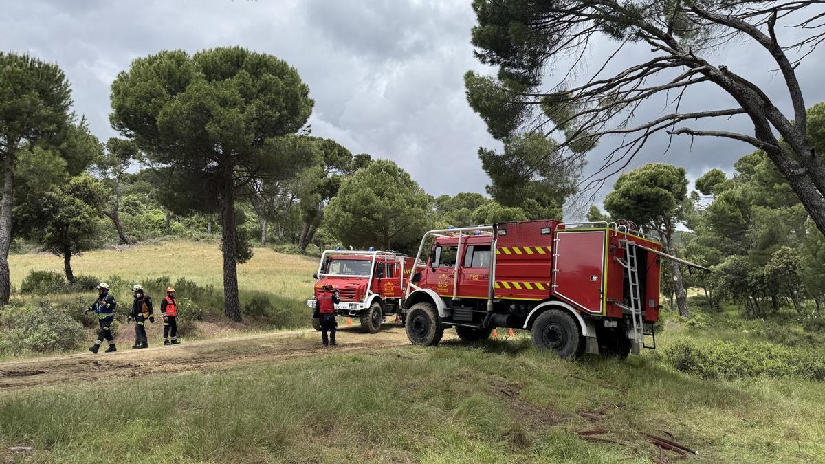 La Comunidad de Madrid realiza simulacros para mejorar la respuesta coordinada ante incendios forestales.