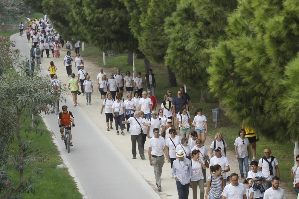 Paseo saludable por el Día Internacional de las Personas Mayores