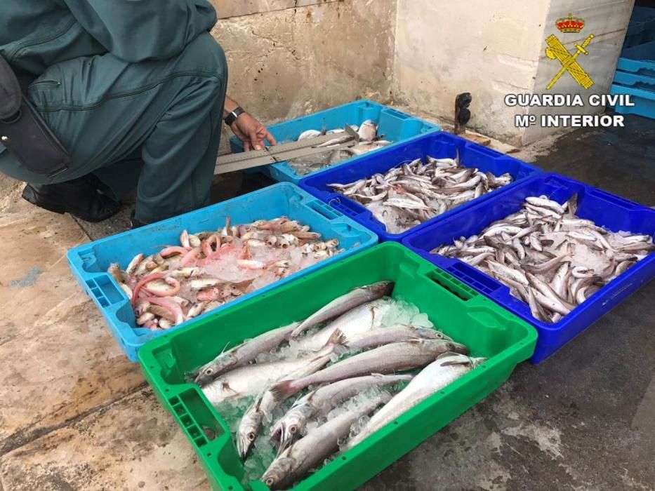 La Guardia Civil decomisa en Alicante pescado caducado que se vendía como fresco