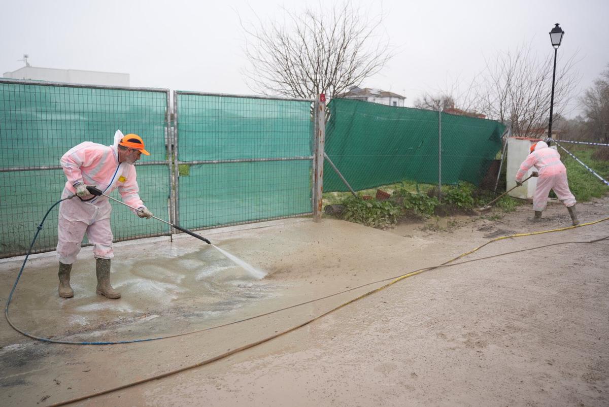 Córdoba. Borrasca, temporal, Marta, inundaciones. Limpieza de las parcelaciones inundadas