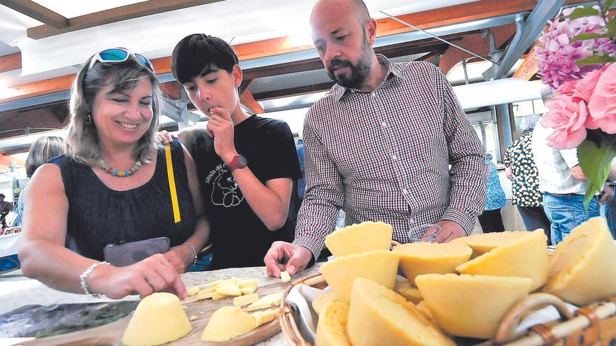 El queso casín roza las 35.000 piezas al año y busca traspasar fronteras