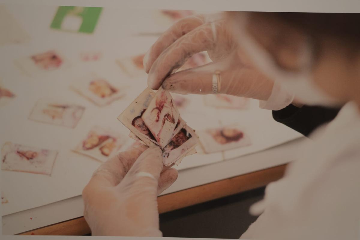 El proyecto realiza un minucioso trabajo sobre las fotografías.