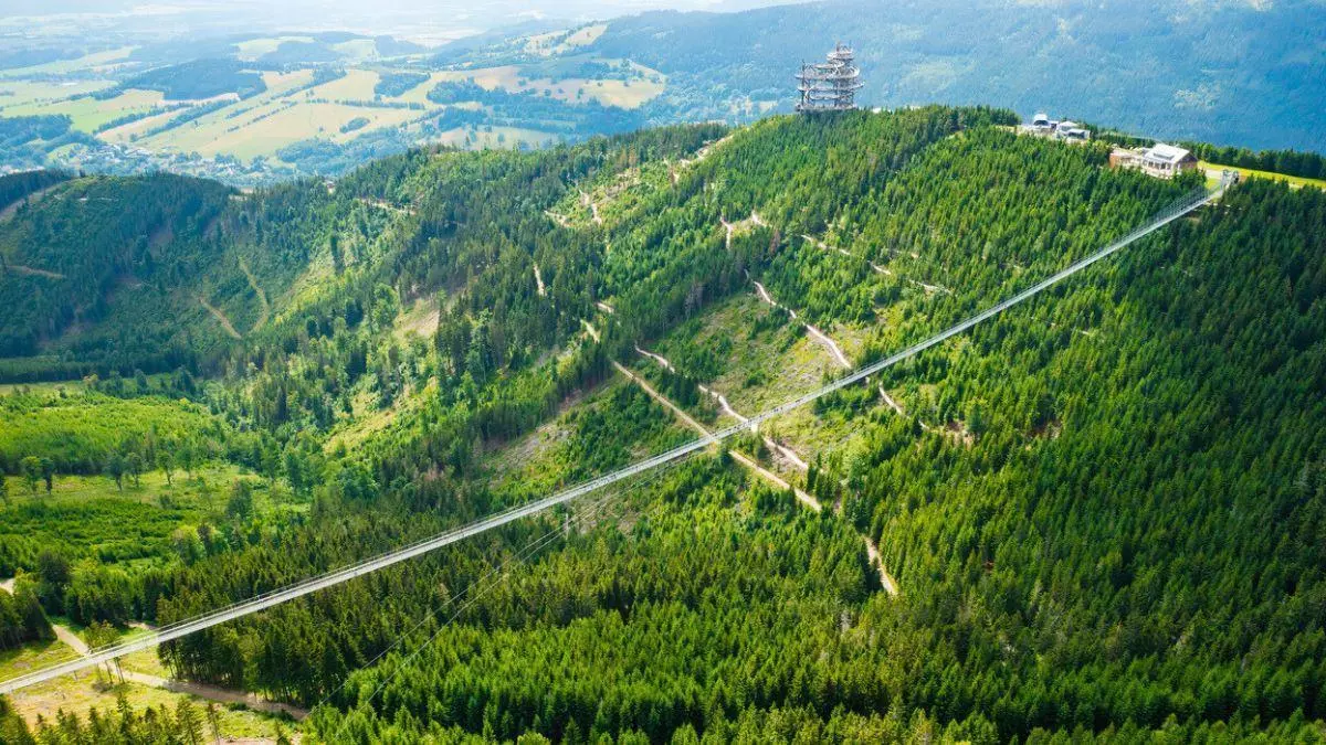 El puente peatonal más grande del mundo está en plena naturaleza y es uno de los paisajes más bonitos