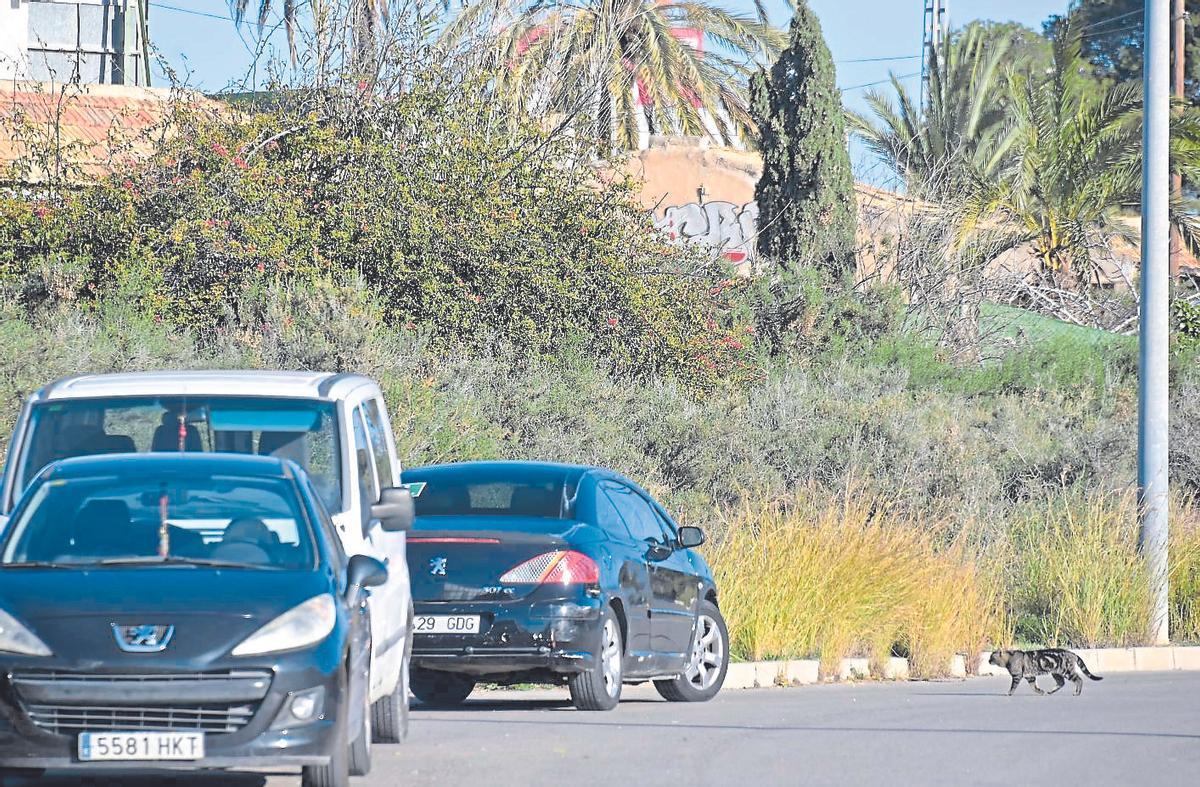 Solar abandonado por donde pasan multitud de vehículos al día.