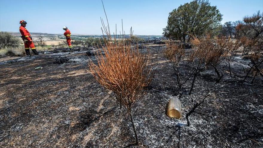 Más de 10.000 hectáreas quemadas en los fuegos de Tarragona, Toledo y Ávila