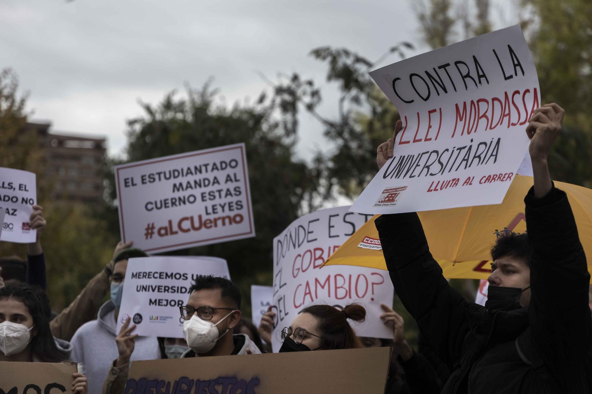 Los universitarios se manifiestan contra la "ley Castells"