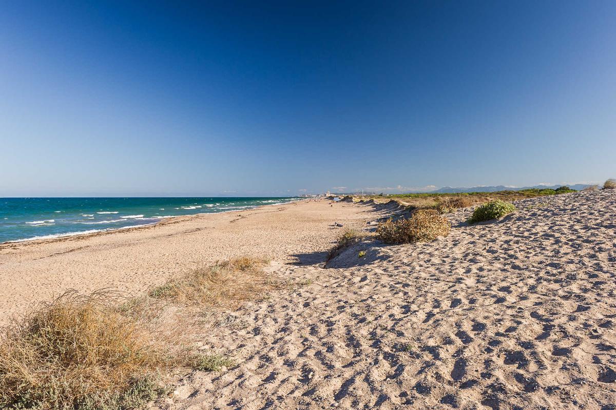 Playa la Devesa del Saler