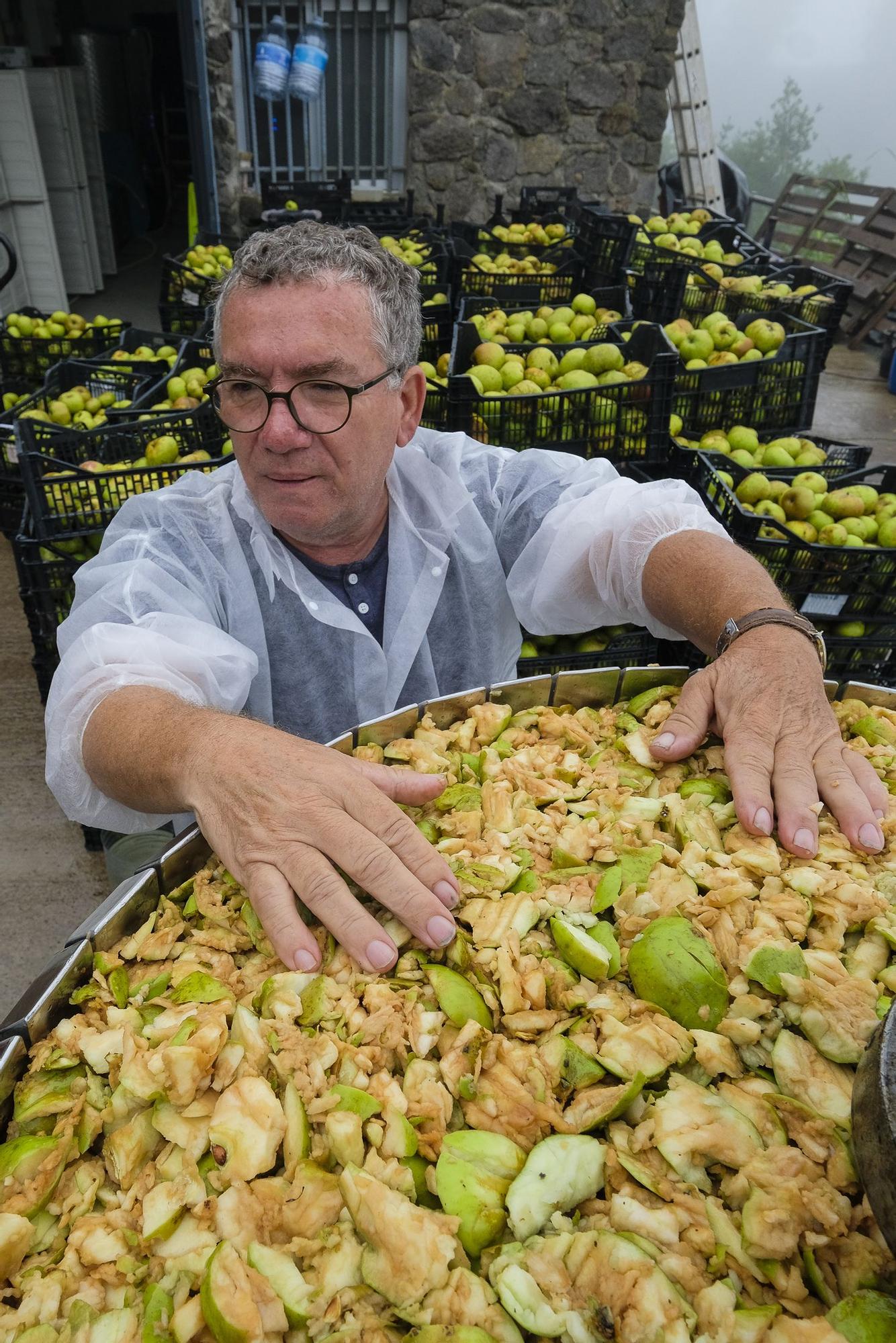 Un chubasco de manzanas