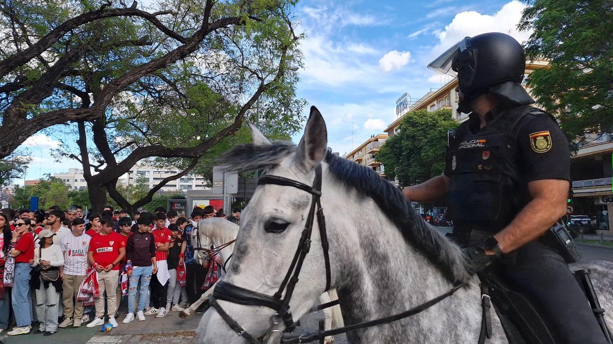 Un policía a caballo vela por la seguridad del cortejo sevillista