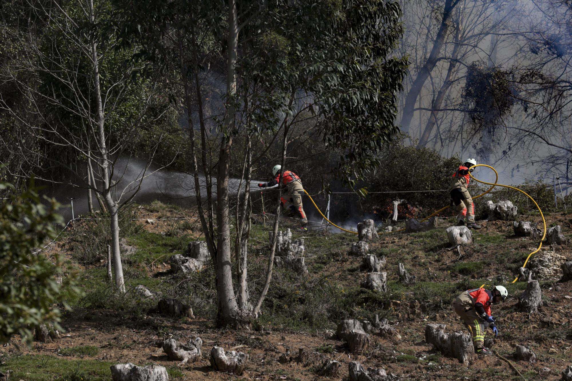 Los bomberos trabajan en el monte Naranco contra las llamas