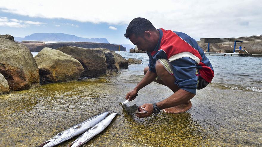 Sardina, puerto kayak