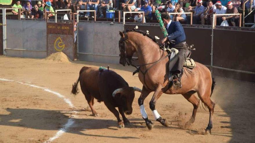 Los festejos taurinos vuelven a la plaza de toros de Tábara durante las fiestas.