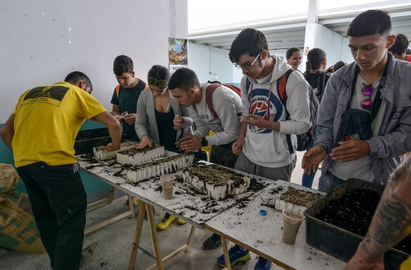 23/05/2018 ARUCAS. La Feria Escolar con más de 1.300 escolares, conocieron  y disfrutaron todo lo que ofrece el sector primario en la .Granja experimental del Cabildo. FOTO: J. PÉREZ CURBELO  | 23/05/2018 | Fotógrafo: José Pérez Curbelo