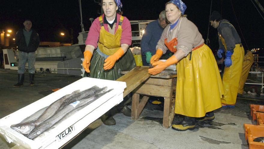 Mujeres descargando merluza un muelle gallego .