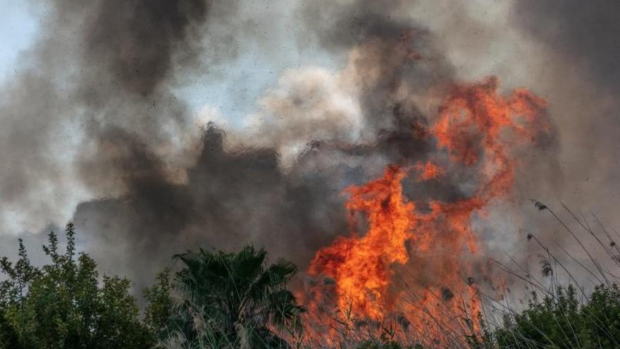 Las Pitiusas registran 11 incendios forestales en cinco meses.