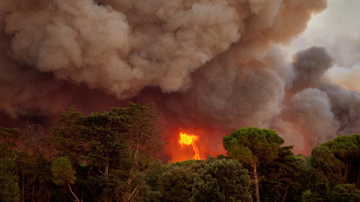 Incendi a Torroella de Montgrí