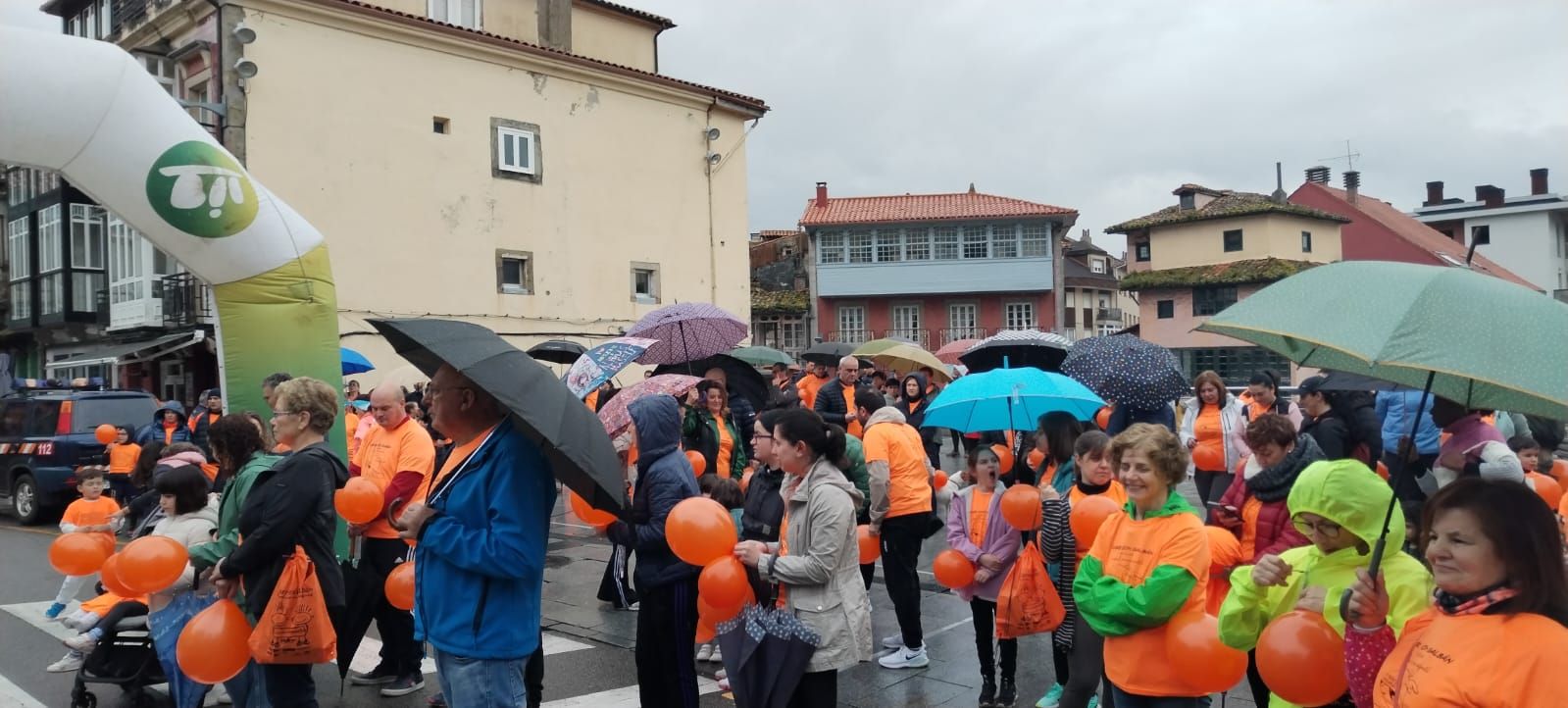 TINEO.jpg