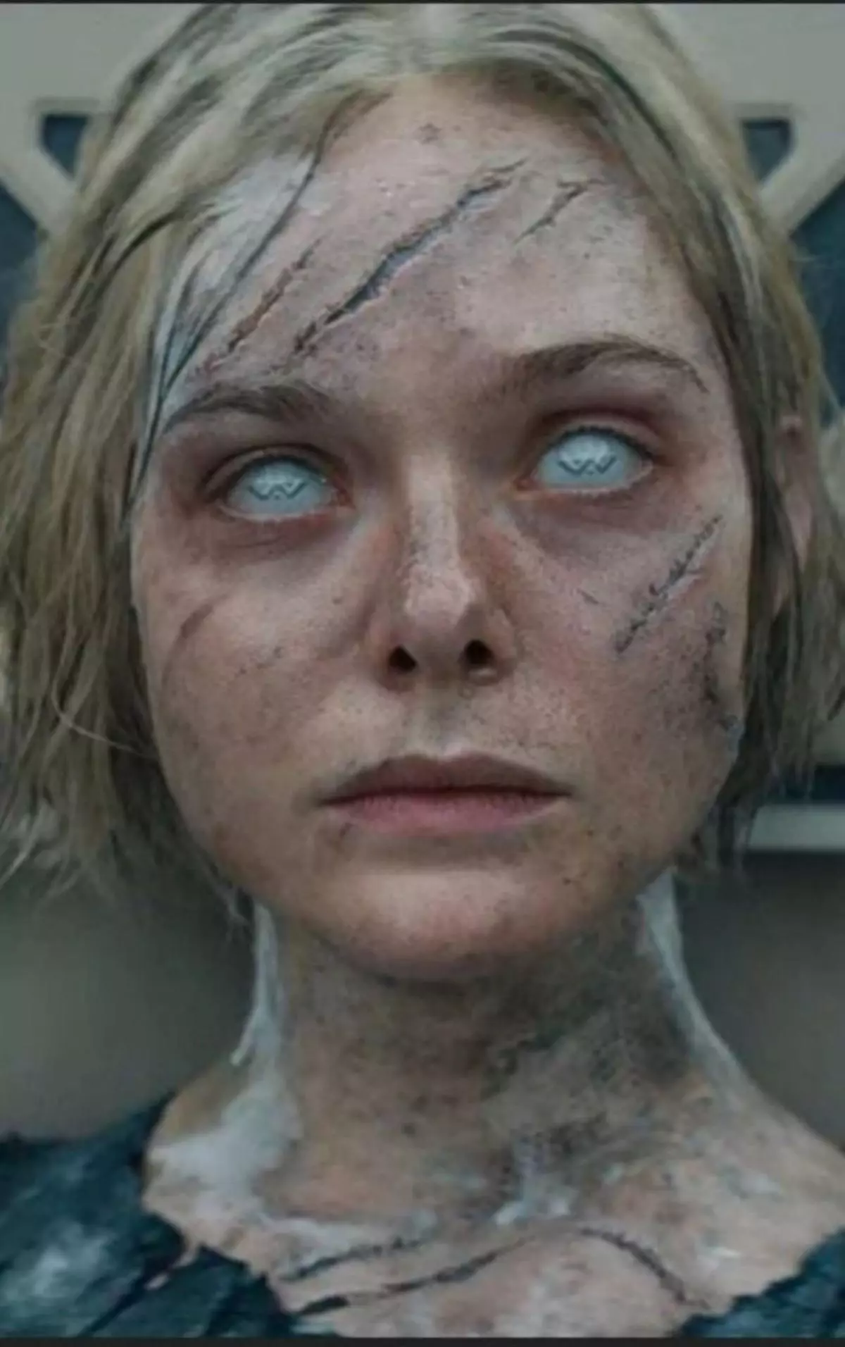 Depredador acorralado