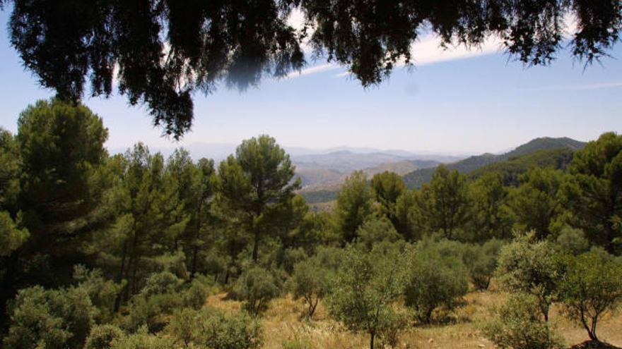 Una vista del parque natural Montes de Málaga.