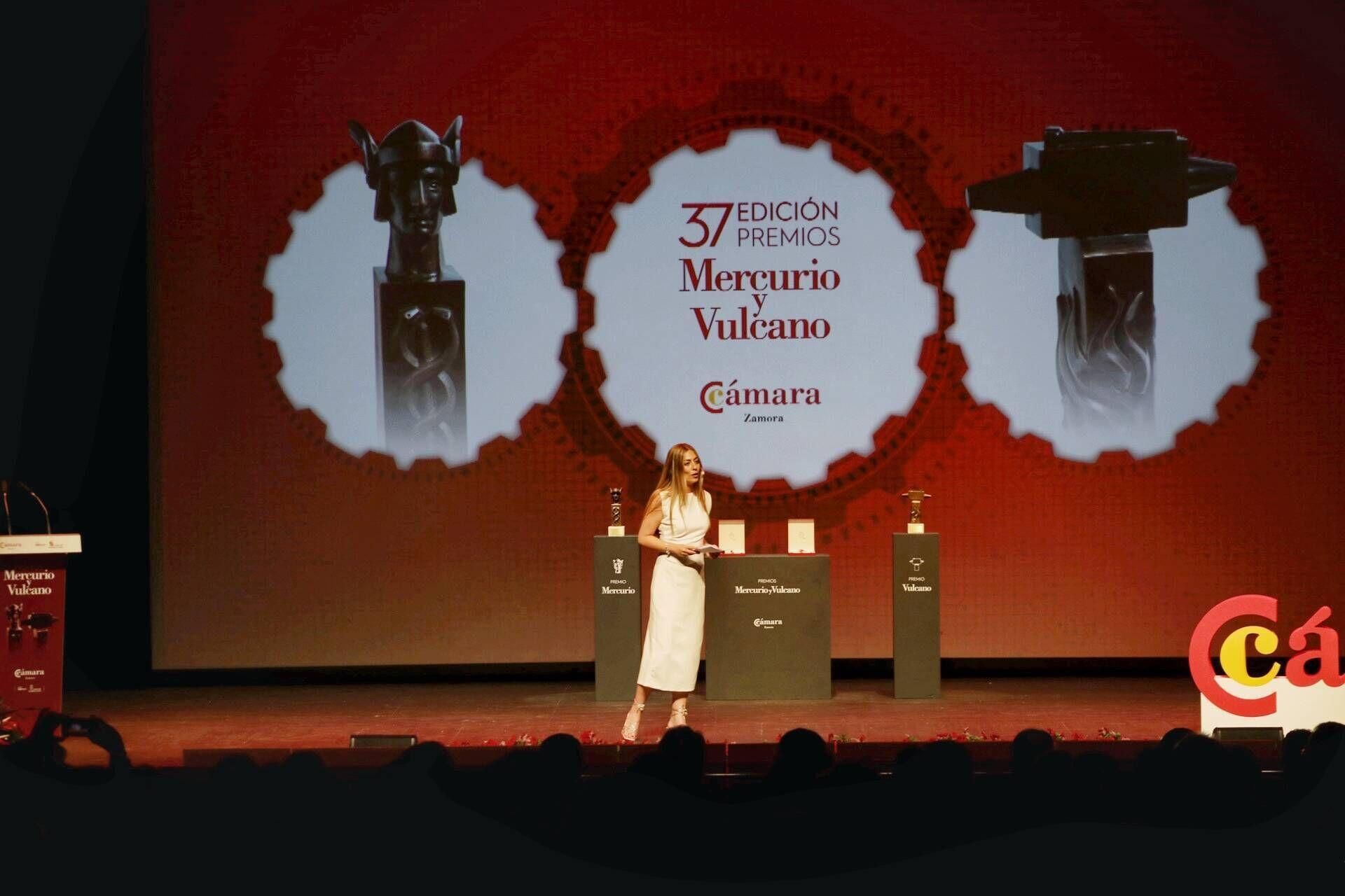Zamora. 37ª edición de los Premios Mercurio y Vulcano y las Medallas a la Dedicación Empresarial y Lealtad a la empresa.