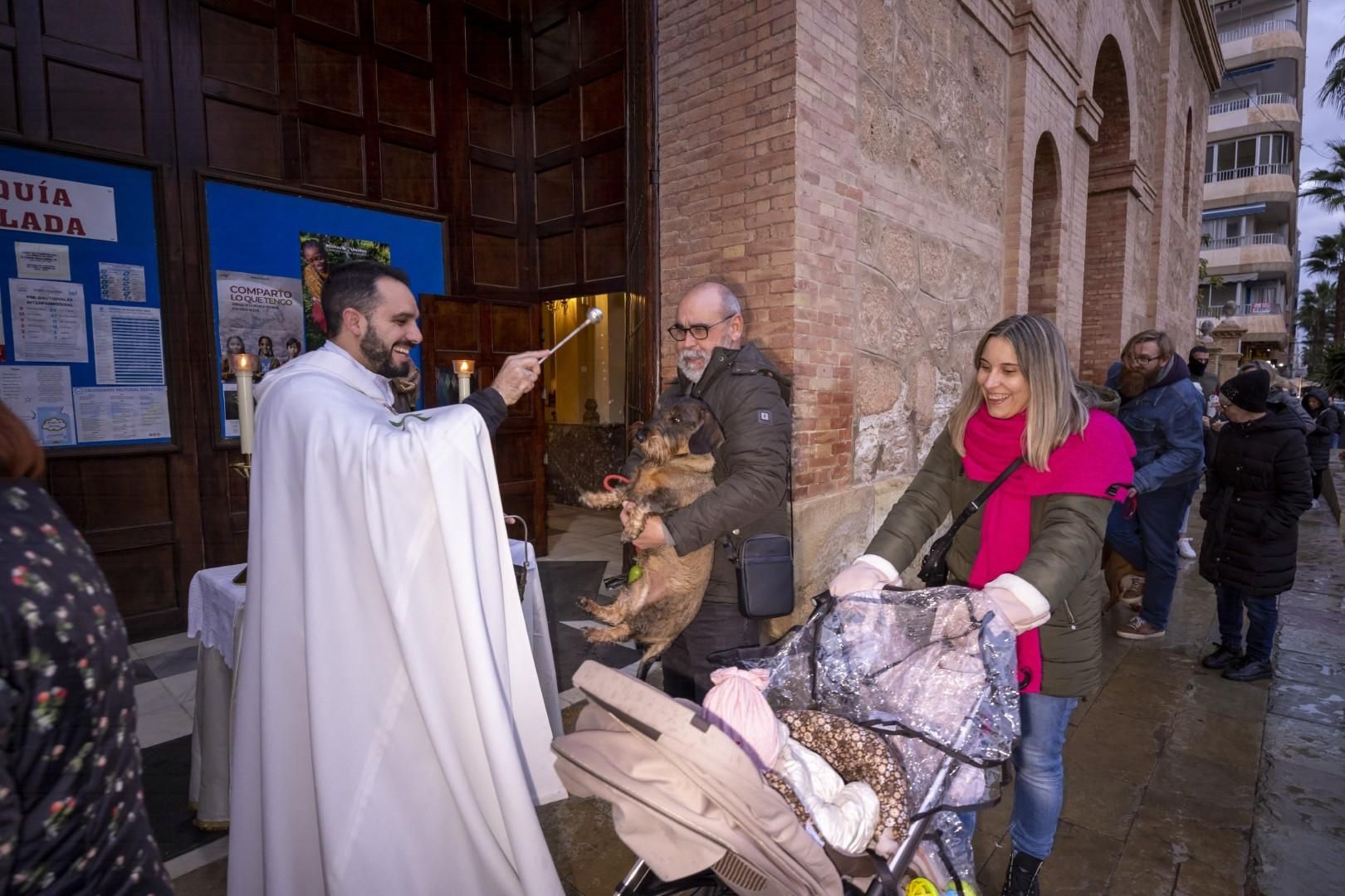 Bendición de animales por San Antón bajo una lluvia invernal en Torrevieja