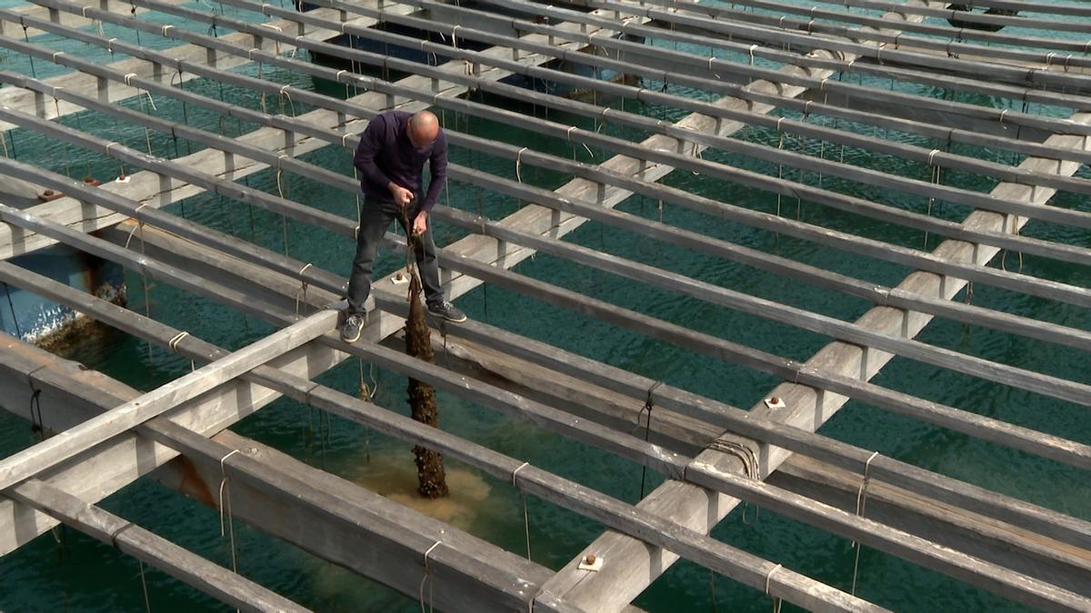 Un pescador en una batea en el puerto de València, en una imagen de archivo.