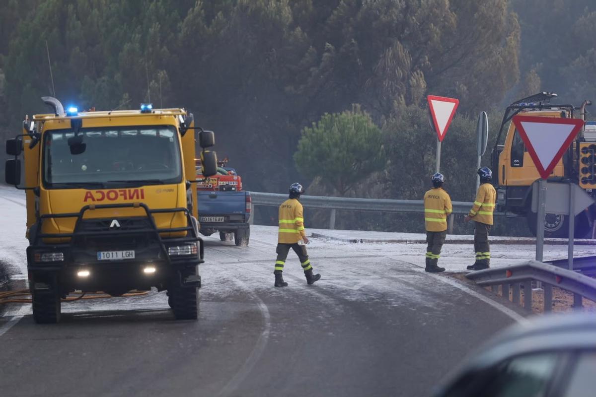 Nuevo incendio forestal en Cerro Muriano, en imágenes