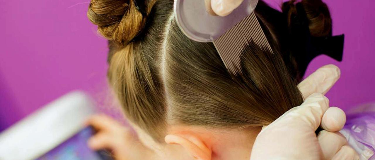 Repaso al cabello de una niña con un peine especial para arrastrar piojos y liendres