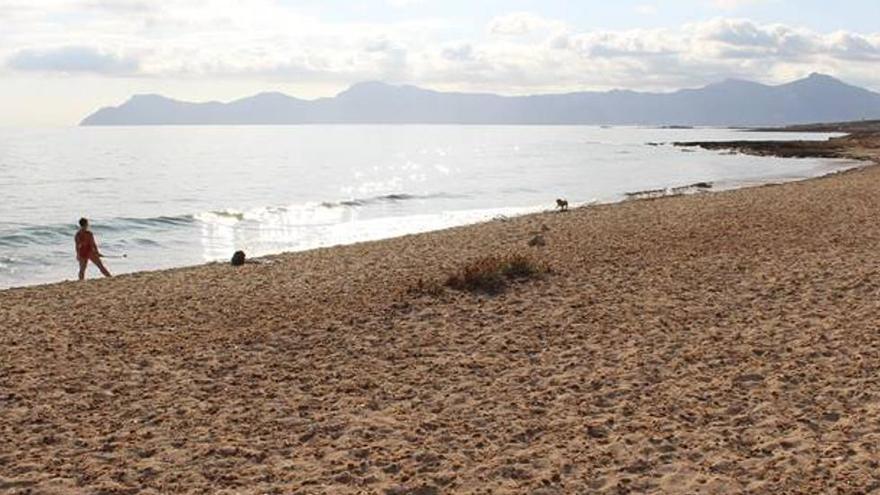 Fent i Desfent | Las consecuencias de la ampliación del parque natural de Llevant