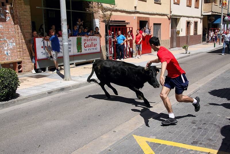 Fiestas de Utebo