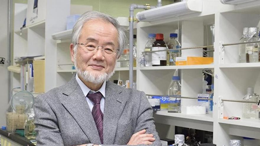 Yoshinori Ohsumi gana el Nobel de Medicina por su investigación sobre el reciclaje de las células