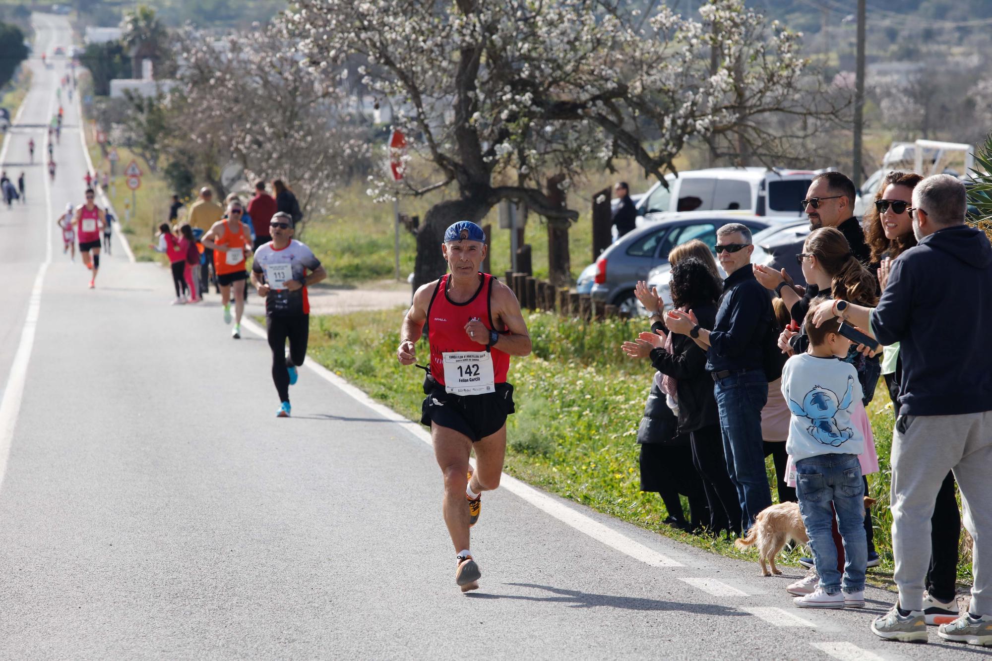 Galería de imágenes de los 250 atletas participantes en la Cursa de la Flor de l’Ametller en Ibiza