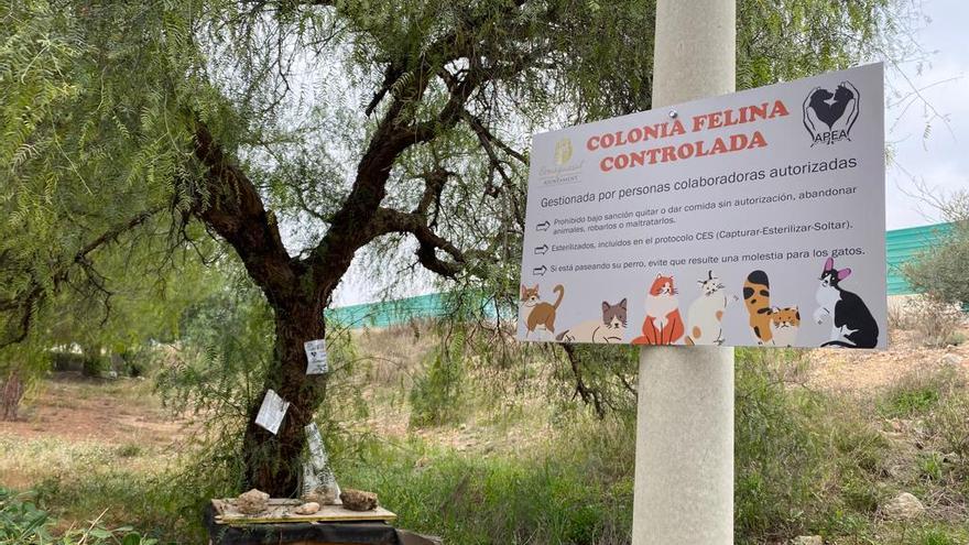 Benaguasil señaliza las colonias felinas del municipio y avisa de sanciones por maltrato