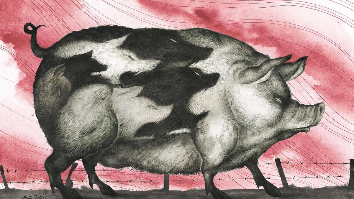 La ilustradora Ana Juan ha trabajado sobre el libro &#039;Rebelión en la granja&#039;, de George Orwell.