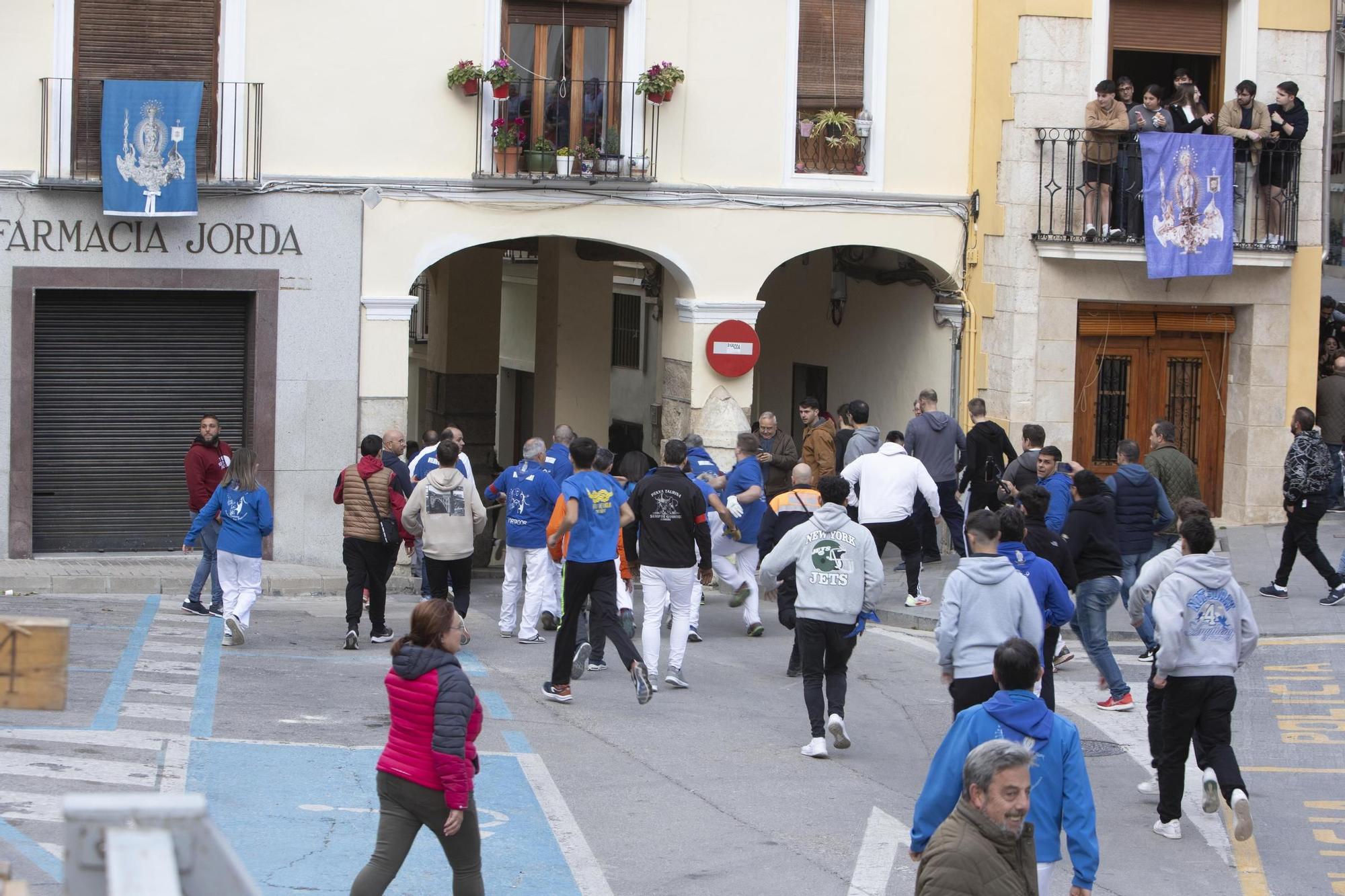 Bou en corda de  la Purísima de Ontinyent