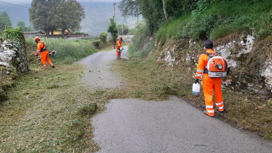 Tareas de desbroce, limpieza y mantenimiento en una docena de carreteras y caminos de Llanes