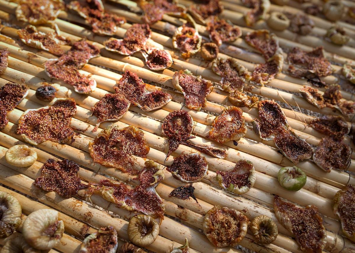 Sequer de figues - Tomeu Fiol - Mallorca