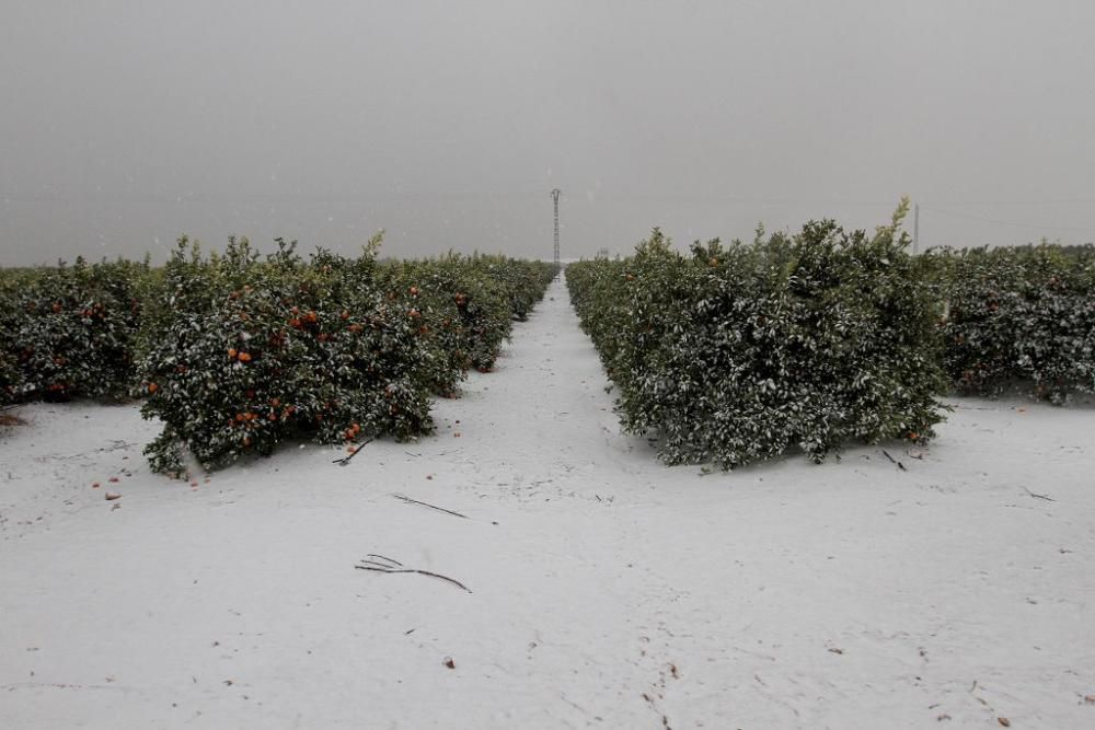 La nieve llega a San Javier, Balsicas y el Campo d