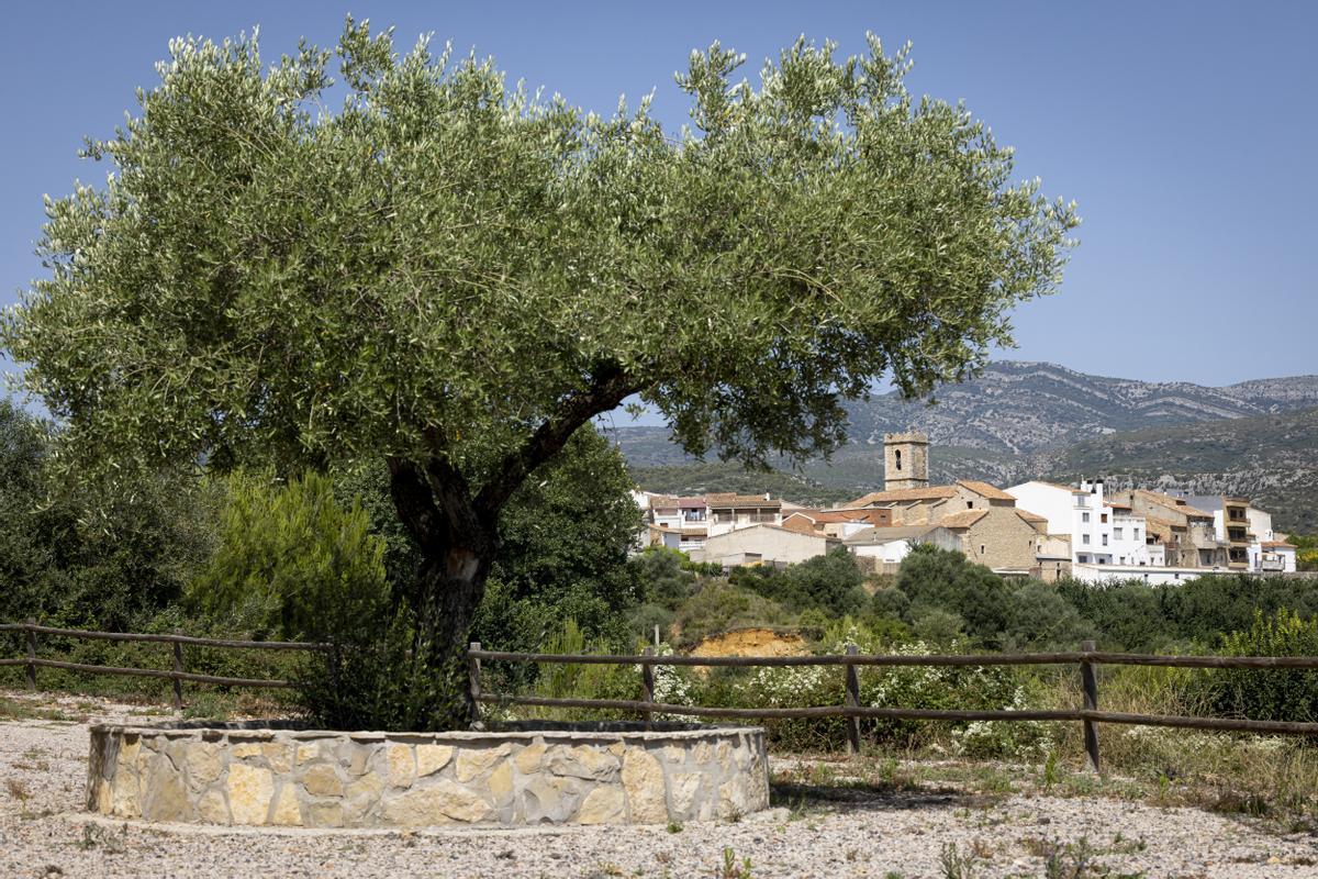 Vista del pueblo desde el mirador de Sant Onofre.